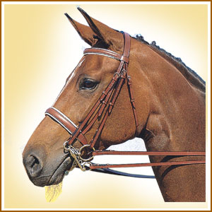 Weymouth Bridle Complete