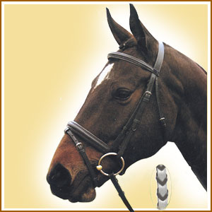 Snaffle Bridle