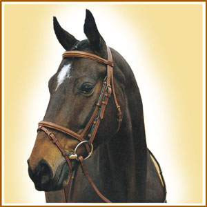 Snaffle Bridle