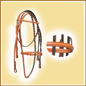 Snaffle Bridle