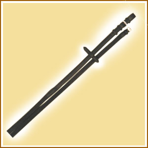 Rolled leather reins with web