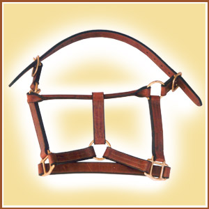 Stable Head Collar