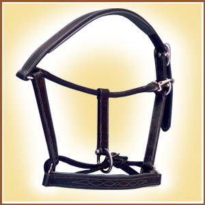 Stable Head Collar