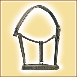 Stable Head Collar