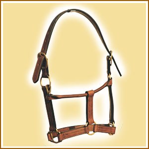 Stable Head Collar In Double Leather